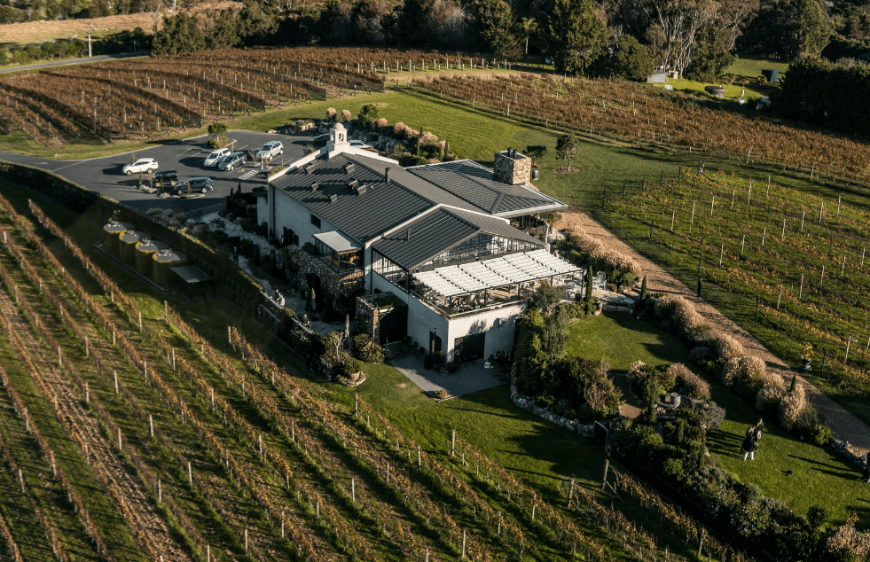 a vineyard on Waiheke Island