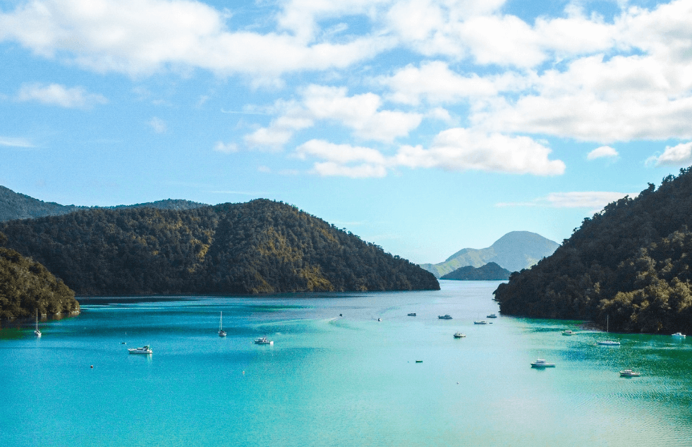 A sunny day in the Marlborough Sounds