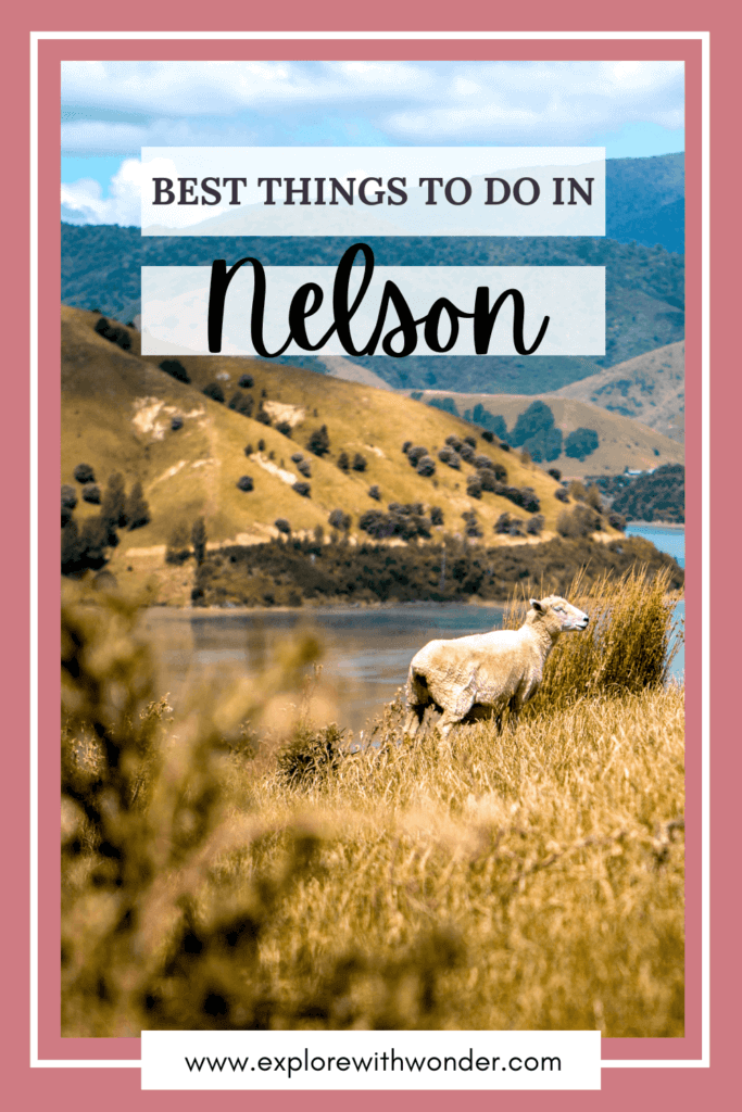 The best things to do in Nelson Pinterest Pin